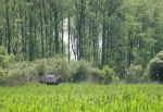 Test Marshes