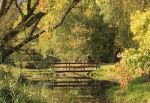 The Autumn Test Bridge