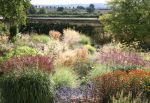 The Summer Garden