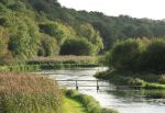 The Test at Leckford
