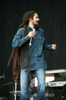 The Marley Brothers