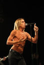 Iggy pop 