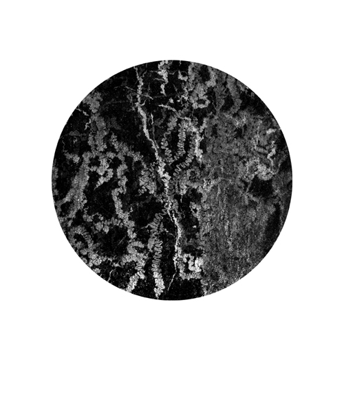 Locus Vitae 