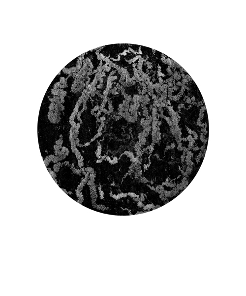 Terra Incognita