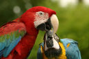 Kiss Me!!