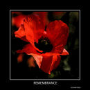 Remembering