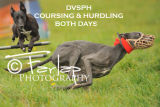 DVSPH Coursing and hurdling - Sat and Sun