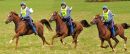 St Meubred Endurance 2010