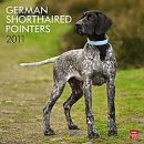 German Pointer Calendar (USA)