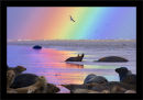 0771 RAINBOW MOMENT