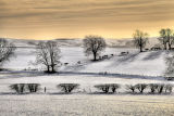 A few new winter landscapes from Northumberland...