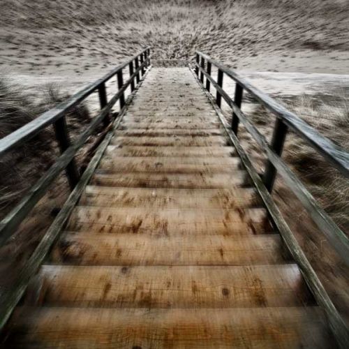 IMAGE: http://www1.clikpic.com/geofflove/images/_MG_3615.jpg