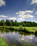 Avon valley