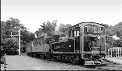 259006