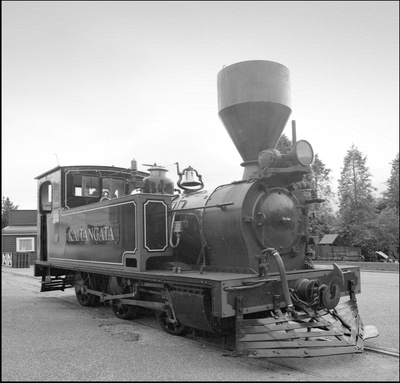 259404
