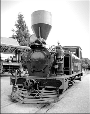 259406