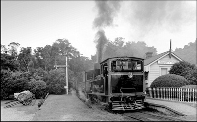259501