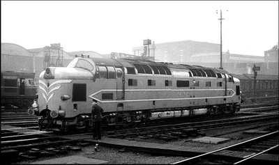 A01116