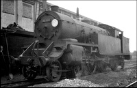 A01904