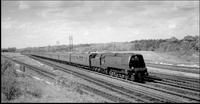 A02033
