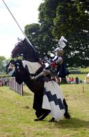 Jousting. Kittochside, east Kilbride.