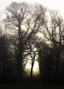 Early One Morning