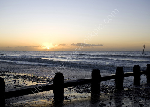Golden Morning