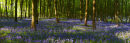 Shades Of Blue, Panoramic - Micheldever, Hampshire