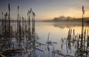 Lower Tamar Lake, misty morning, Devon Cornwall border