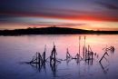 Lower Tamar lake, frozen at sunrise