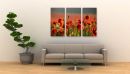 Poppies
