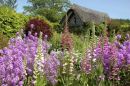 Rosemoor {RHS} Gardens - Devon