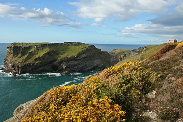 Castle Headland - Tintagel