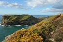 Castle Headland - Tintagel