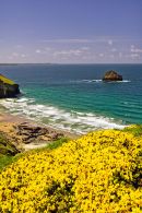 Trebarwith Strand coastal path