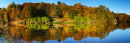 Autumn Tones Panoramic - Winkworth Arboretum