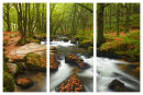 Fowey River - Golitha Falls, Cornwall