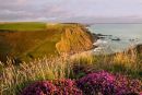Duckpool Viewpoint - Near Bude