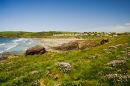 View from the Footpath towards Polzeath