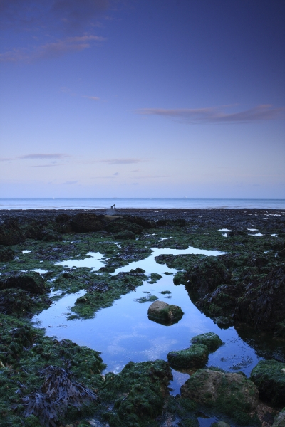 Rockpool
