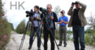 Reports of rare birds accepted by the Estonian Rarities Committee