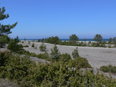 Undva, Saaremaa