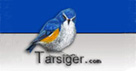 Tarsiger.com