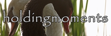 holdingmoments