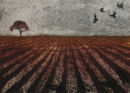 Autumn Field