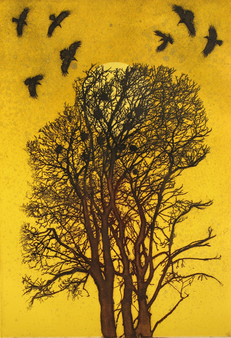 Rookery