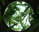 above and below