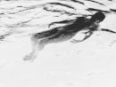 backfloat