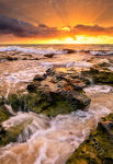 North Cottesloe Spring Sunset
