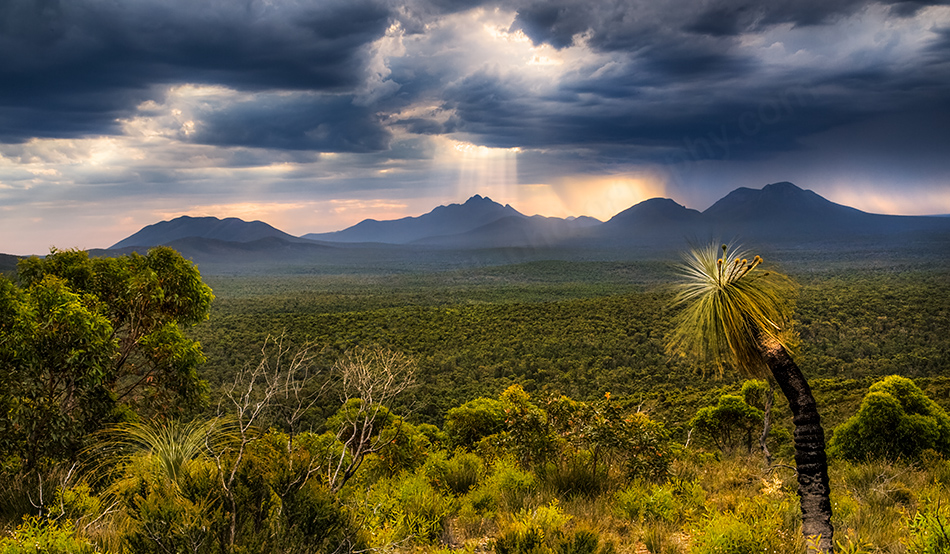 Sun Rays Over The Stirling Range